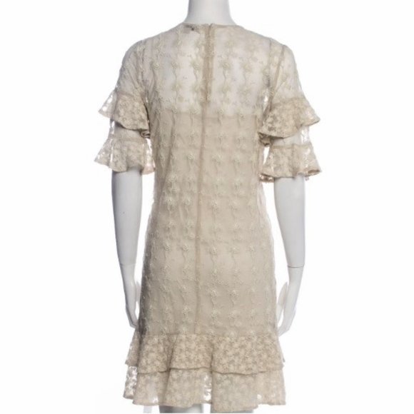 Gorgeous ALL SAINTS Party Dress Sheer Lace (Lined) Sexy Romantic $375 - Picture 3 of 9